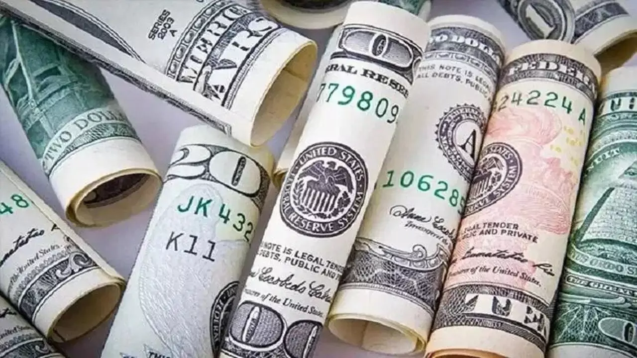 Forex Reserves : భారత ఖజానాలోకి డాలర్ల వర్షం.. 45 రోజుల్లోనే రికార్డులు బద్దలు Forex Reserves : భారత ఖజానాలోకి డాలర్ల వర్షం.. 45 రోజుల్లోనే రికార్డులు బద్దలు