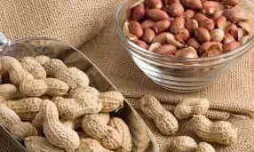 Eating Peanuts: పల్లీలు తింటే ఎన్ని లాభాలో తెలుసా? Eating Peanuts: పల్లీలు తింటే ఎన్ని లాభాలో తెలుసా?