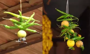Lemon: నిమ్మకాయతో వాస్తు దోషాలు మాయం.. ఈ సింపుల్ చిట్కాలు తెలుసా? Lemon: నిమ్మకాయతో వాస్తు దోషాలు మాయం.. ఈ సింపుల్ చిట్కాలు తెలుసా?