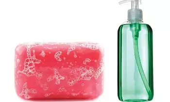 Liquid Soap vs Bar Soap: లిక్విడ్ సోప్ Vs బార్ సోప్.. చర్మానికి ఏది మంచిది? నిపుణులు ఏం చెబుతున్నారు? Liquid Soap vs Bar Soap: లిక్విడ్ సోప్ Vs బార్ సోప్.. చర్మానికి ఏది మంచిది? నిపుణులు ఏం చెబుతున్నారు?
