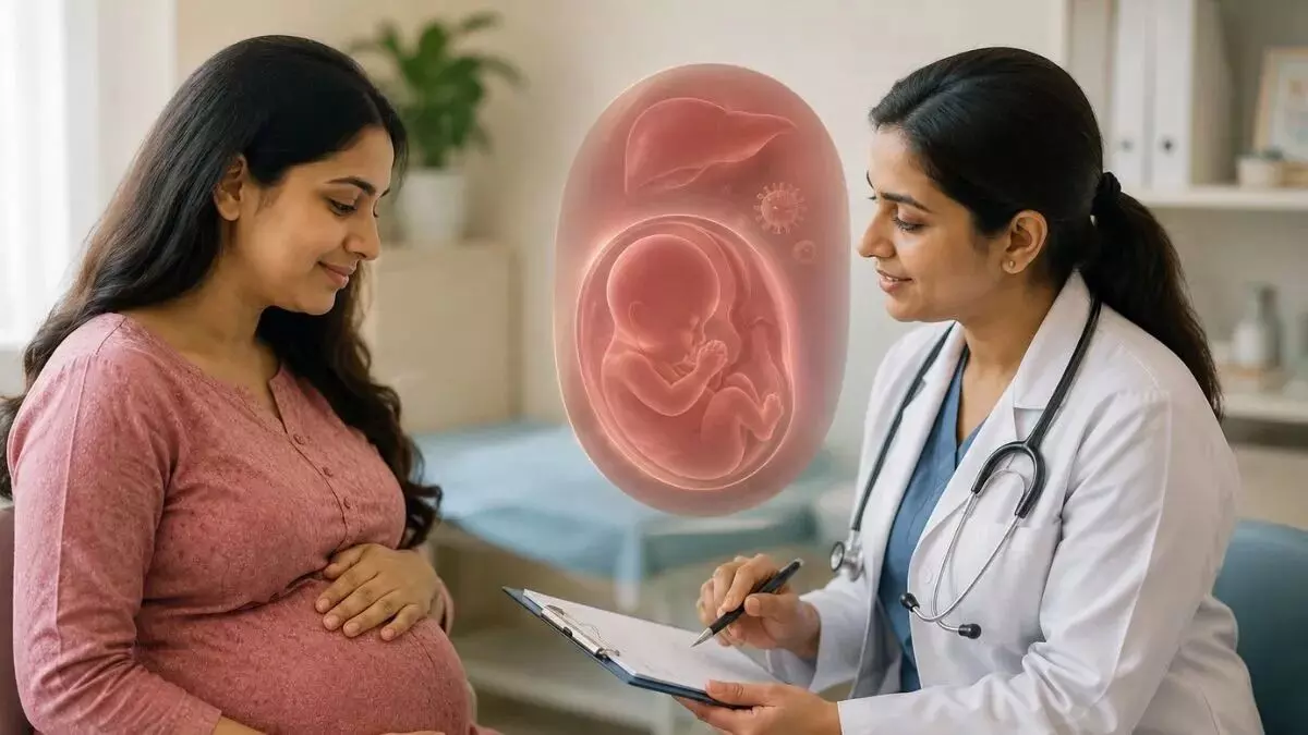 Hepatitis B: గర్భిణీలకు హెపటైటిస్-బి పరీక్ష ఎందుకు తప్పనిసరి? పుట్టబోయే బిడ్డను ఎలా కాపాడుకోవాలి? Hepatitis B: గర్భిణీలకు హెపటైటిస్-బి పరీక్ష ఎందుకు తప్పనిసరి? పుట్టబోయే బిడ్డను ఎలా కాపాడుకోవాలి?
