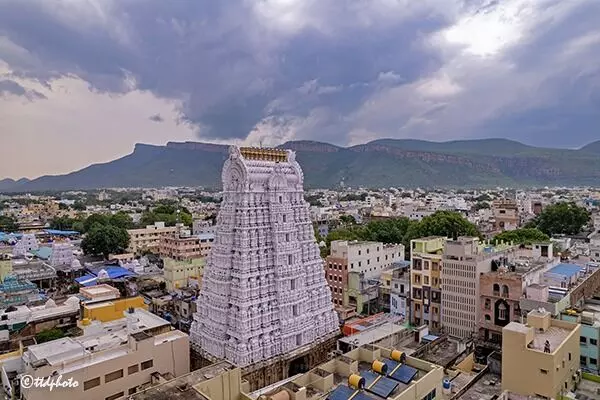 Sri Govindaraja Swamy Temple: ఆగస్టు నెలలో తిరుపతి శ్రీ గోవిందరాజస్వామివారి ఆలయంలో విశేష ఉత్సవాలు Sri Govindaraja Swamy Temple: ఆగస్టు నెలలో తిరుపతి శ్రీ గోవిందరాజస్వామివారి ఆలయంలో విశేష ఉత్సవాలు