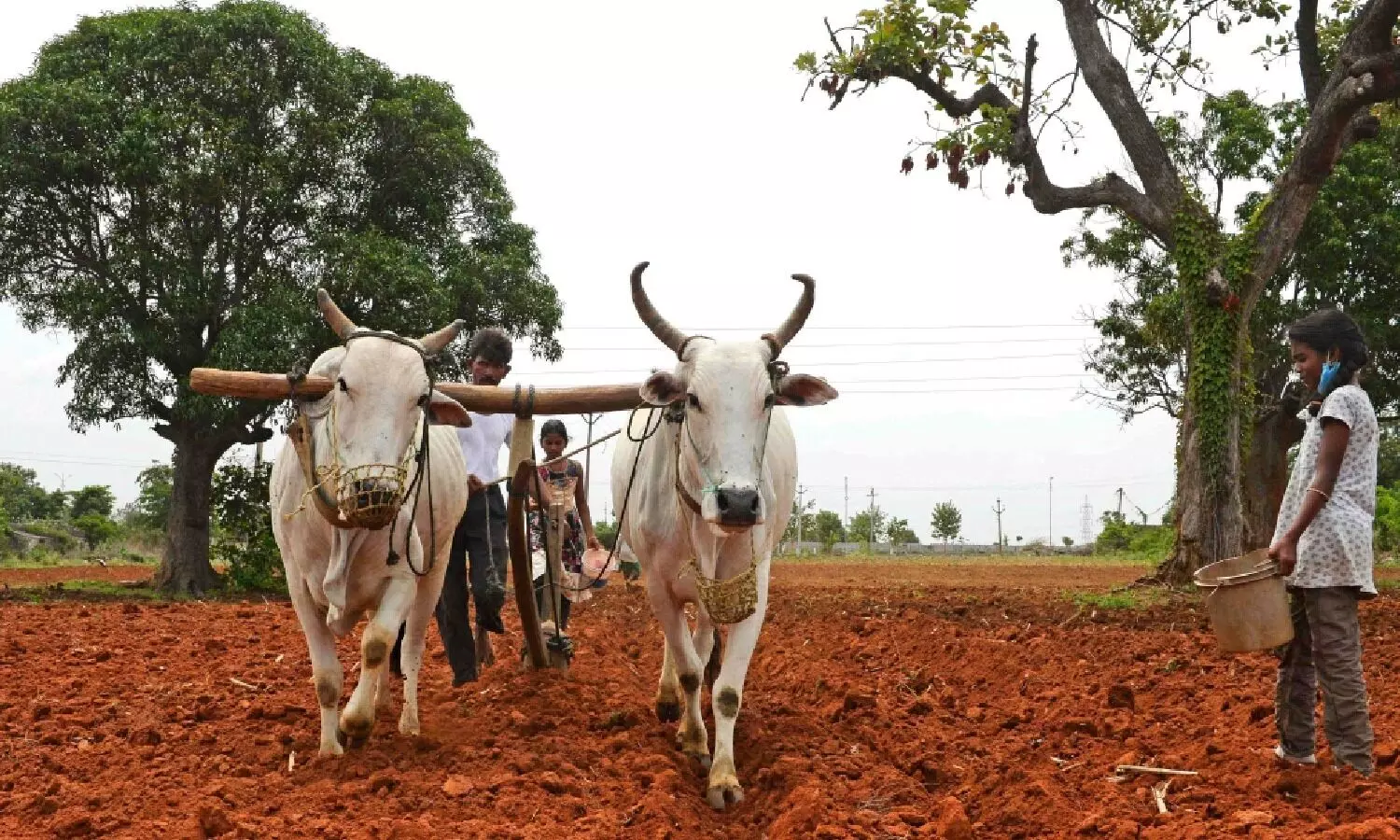 PM Kisan : పీఎం కిసాన్ లబ్ధిదారులకు అలర్ట్.. ఈ 3 పనులు చేయకపోతే రూ.2,000 అకౌంట్లో పడవు PM Kisan : పీఎం కిసాన్ లబ్ధిదారులకు అలర్ట్.. ఈ 3 పనులు చేయకపోతే రూ.2,000 అకౌంట్లో పడవు