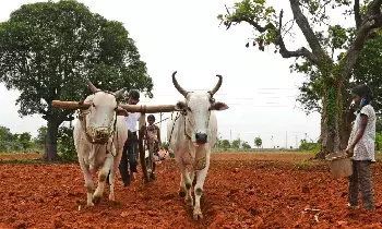 PM Kisan  : పీఎం కిసాన్ లబ్ధిదారులకు అలర్ట్.. ఈ 3 పనులు చేయకపోతే రూ.2,000 అకౌంట్‌లో పడవు