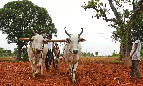 PM Kisan : పీఎం కిసాన్ లబ్ధిదారులకు అలర్ట్.. ఈ 3 పనులు చేయకపోతే రూ.2,000 అకౌంట్లో పడవు PM Kisan : పీఎం కిసాన్ లబ్ధిదారులకు అలర్ట్.. ఈ 3 పనులు చేయకపోతే రూ.2,000 అకౌంట్లో పడవు
