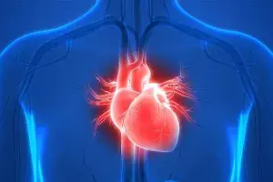 Healthy Heart: గుండె పదిలంగా ఉండాలంటే.. ప్రతిరోజూ ఈ చిన్న అలవాట్లు పాటించండి.. Healthy Heart: గుండె పదిలంగా ఉండాలంటే.. ప్రతిరోజూ ఈ చిన్న అలవాట్లు పాటించండి..