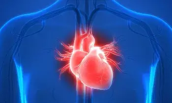 Healthy Heart: గుండె పదిలంగా ఉండాలంటే.. ప్రతిరోజూ ఈ చిన్న అలవాట్లు పాటించండి..