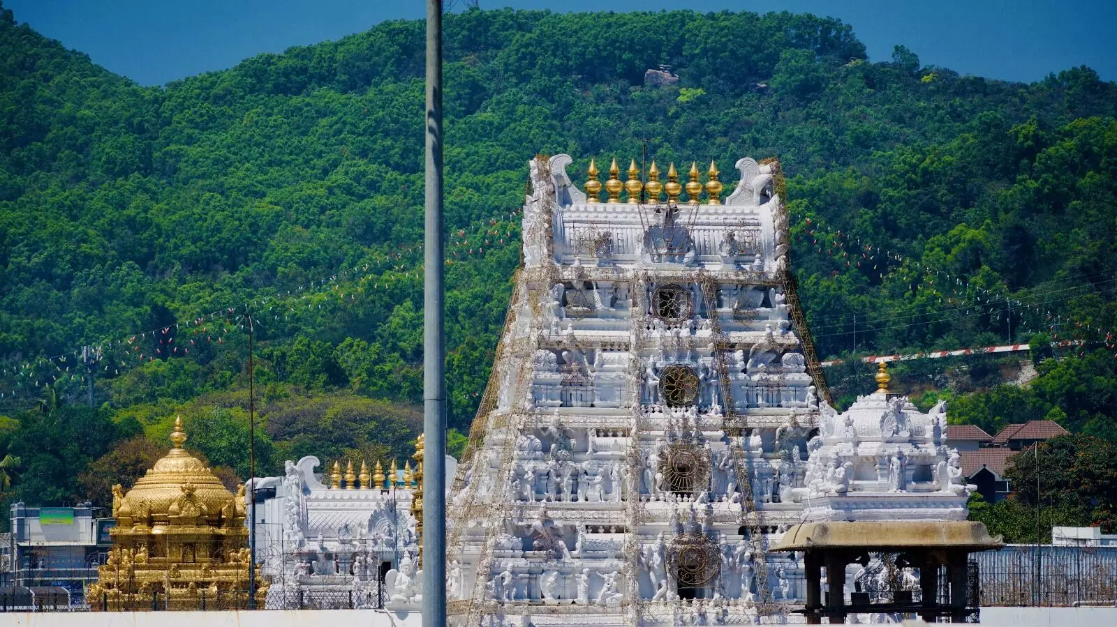 TTD: శ్రీవారి బ్రహ్మోత్సవాల్లో ఆర్జిత సేవలు, ఇతర ప్రత్యేక దర్శనాలు రద్దు TTD: శ్రీవారి బ్రహ్మోత్సవాల్లో ఆర్జిత సేవలు, ఇతర ప్రత్యేక దర్శనాలు రద్దు