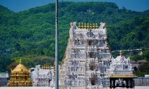 TTD: శ్రీవారి బ్రహ్మోత్సవాల్లో ఆర్జిత సేవలు, ఇతర ప్రత్యేక దర్శనాలు రద్దు TTD: శ్రీవారి బ్రహ్మోత్సవాల్లో ఆర్జిత సేవలు, ఇతర ప్రత్యేక దర్శనాలు రద్దు