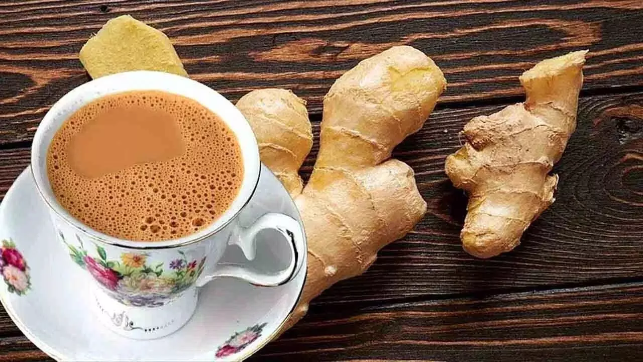 Tea vs Ginger Tea: టీ, అల్లం టీ రెండింటిలో ఏది బెస్ట్? Tea vs Ginger Tea: టీ, అల్లం టీ రెండింటిలో ఏది బెస్ట్?