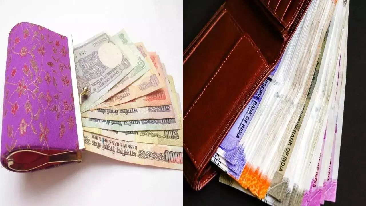 Wallet: ఎంత సంపాదించినా డబ్బులు నిలవట్లేదా? పర్సులో వీటిని అస్సలు పెట్టుకోవద్దు! Wallet: ఎంత సంపాదించినా డబ్బులు నిలవట్లేదా? పర్సులో వీటిని అస్సలు పెట్టుకోవద్దు!
