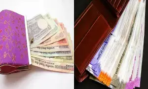 Wallet: ఎంత సంపాదించినా డబ్బులు నిలవట్లేదా? పర్సులో వీటిని అస్సలు పెట్టుకోవద్దు!