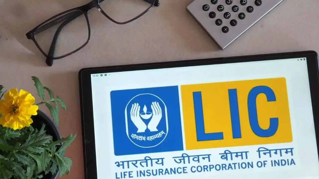 LIC : ఎల్ఐసీ రికార్డు స్థాయి లాభాలు.. క్యూ1లో ఏకంగా రూ.13,492 కోట్ల నెట్ ప్రాఫిట్ LIC : ఎల్ఐసీ రికార్డు స్థాయి లాభాలు.. క్యూ1లో ఏకంగా రూ.13,492 కోట్ల నెట్ ప్రాఫిట్