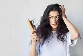 Excessive Hair Fall: విపరీతంగా జుట్టు రాలుతోందా? శరీరంలో ఆ ముఖ్య పోషకం లోపించడమే కారణం కావచ్చు.. Excessive Hair Fall: విపరీతంగా జుట్టు రాలుతోందా? శరీరంలో ఆ ముఖ్య పోషకం లోపించడమే కారణం కావచ్చు..