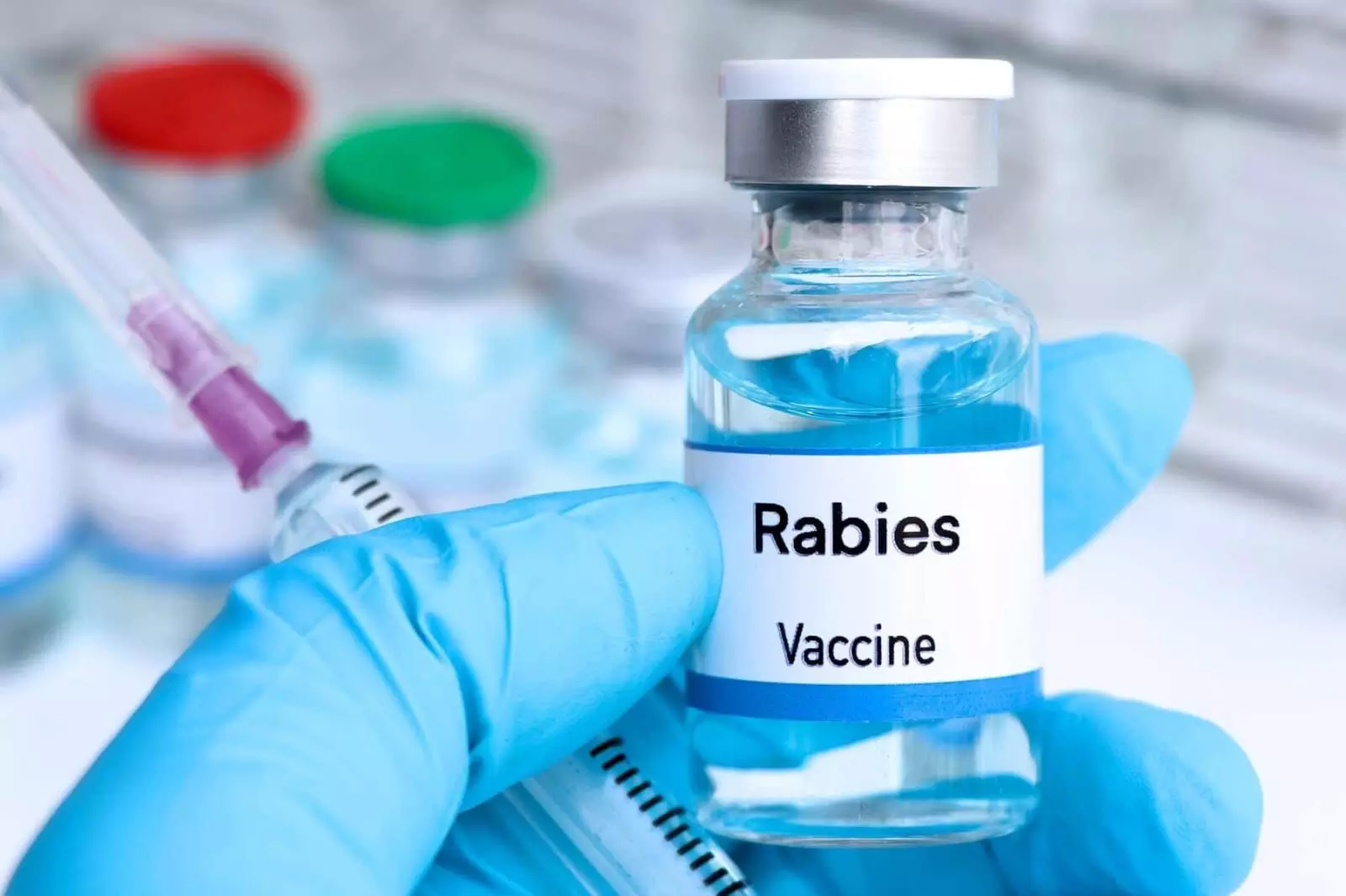 Rabies After Vaccination: వ్యాక్సిన్ వేసుకున్నా రేబీస్ వ్యాధి వస్తుందా? నిపుణులు చెబుతున్న చేదు నిజాలివే.. Rabies After Vaccination: వ్యాక్సిన్ వేసుకున్నా రేబీస్ వ్యాధి వస్తుందా? నిపుణులు చెబుతున్న చేదు నిజాలివే..