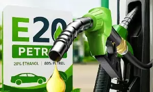 E20 Petrol: వెయ్యికి పైగా బంకుల్లో మెరుపు తనిఖీలు.. E20 కల్తీ క్లైమ్‌లను కొట్టిపారేసిన ఆయిల్ సంస్థలు