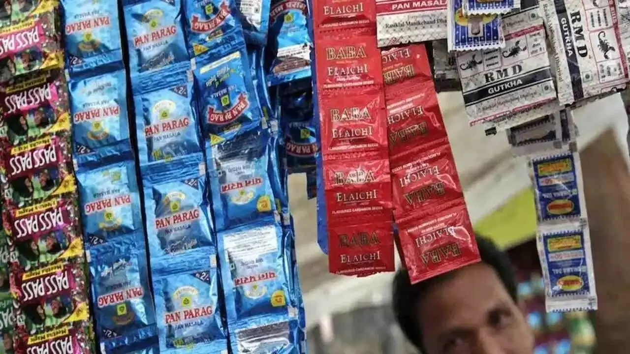 Plastic Ban: పాన్ మసాలా ప్రియులకు షాక్.. ప్యాకేజింగ్పై FSSAI కఠిన నిబంధనలు.. పెరగనున్న ధరలు Plastic Ban: పాన్ మసాలా ప్రియులకు షాక్.. ప్యాకేజింగ్పై FSSAI కఠిన నిబంధనలు.. పెరగనున్న ధరలు