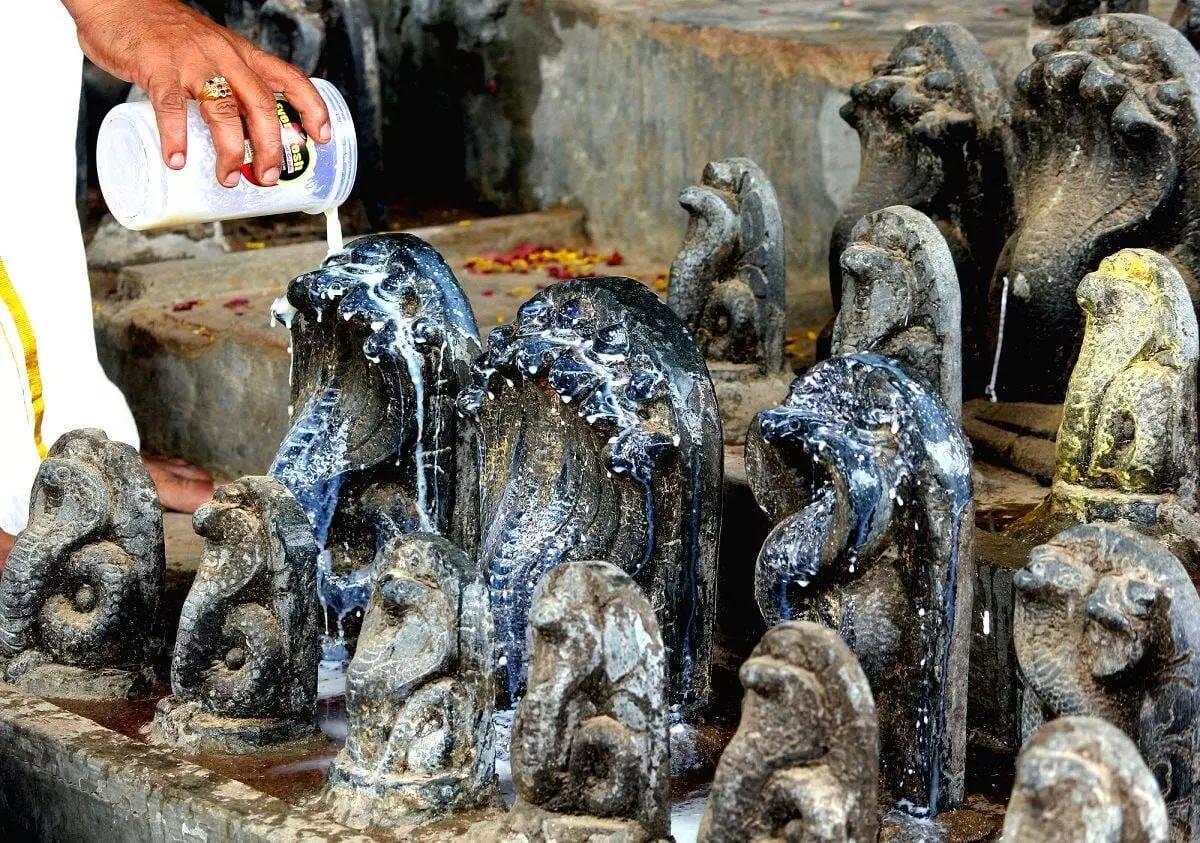 Nag Panchami 2026: నాగ పంచమి 2026: విశిష్టత, పూజా విధానం - కాళసర్ప దోష నివారణ మార్గాలు.. Nag Panchami 2026: నాగ పంచమి 2026: విశిష్టత, పూజా విధానం - కాళసర్ప దోష నివారణ మార్గాలు..