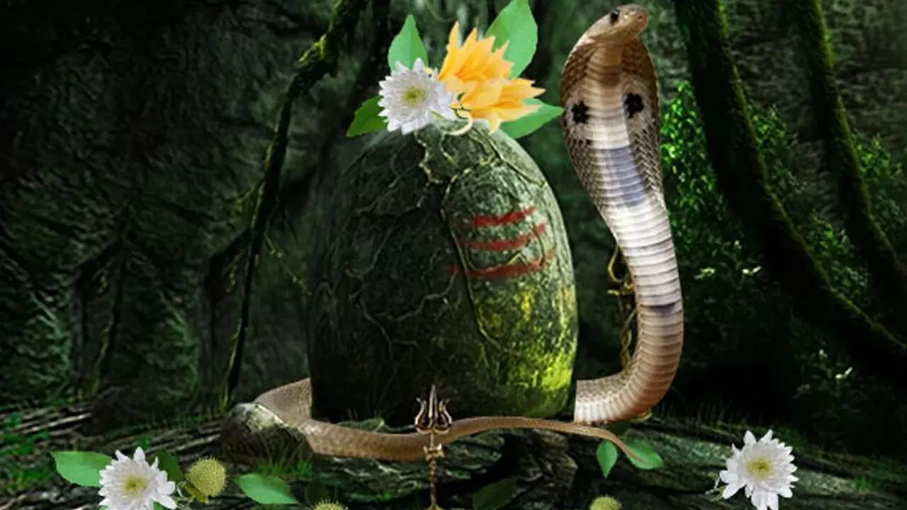 Nag Panchami 2026: నాగపంచమి ఎప్పుడు? ఆగస్టు 16 లేక 17వ తేదీనా? పూర్తి వివరాలు ఇవే! Nag Panchami 2026: నాగపంచమి ఎప్పుడు? ఆగస్టు 16 లేక 17వ తేదీనా? పూర్తి వివరాలు ఇవే!