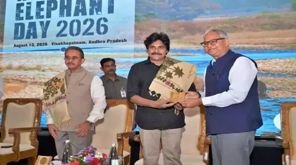 World Elephant Day: ప్రపంచ ఏనుగుల దినోత్సవం.. మానవ-ఏనుగు సంఘర్షణ తగ్గింపుపై పవన్ కల్యాణ్ కీలక వ్యాఖ్యలు World Elephant Day: ప్రపంచ ఏనుగుల దినోత్సవం.. మానవ-ఏనుగు సంఘర్షణ తగ్గింపుపై పవన్ కల్యాణ్ కీలక వ్యాఖ్యలు