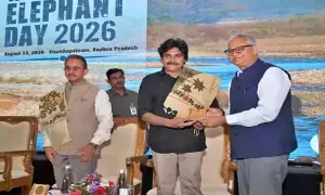World Elephant Day: ప్రపంచ ఏనుగుల దినోత్సవం.. మానవ-ఏనుగు సంఘర్షణ తగ్గింపుపై పవన్ కల్యాణ్ కీలక వ్యాఖ్యలు World Elephant Day: ప్రపంచ ఏనుగుల దినోత్సవం.. మానవ-ఏనుగు సంఘర్షణ తగ్గింపుపై పవన్ కల్యాణ్ కీలక వ్యాఖ్యలు