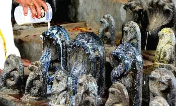 Nag Panchami 2026:  నాగ పంచమి 2026: విశిష్టత, పూజా విధానం - కాళసర్ప దోష నివారణ మార్గాలు..