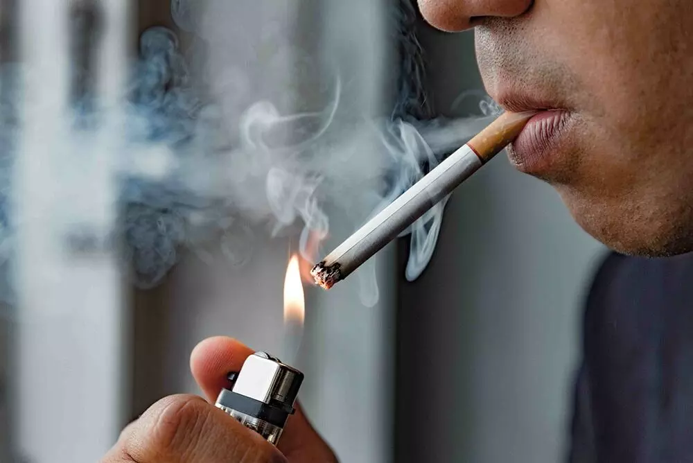 Smoke a Cigarette Before Going to Bed: రాత్రి పడుకునే ముందు సిగరెట్ కాలుస్తున్నారా.? Smoke a Cigarette Before Going to Bed: రాత్రి పడుకునే ముందు సిగరెట్ కాలుస్తున్నారా.?