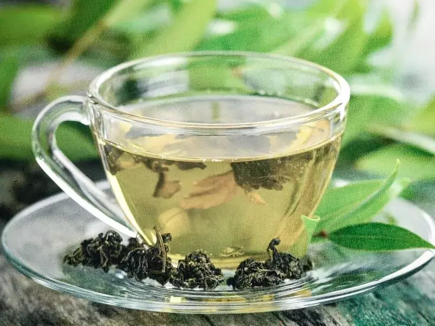 Green Tea: గ్రీన్ టీ లివర్కు నిజంగా మంచిదేనా? అతిగా తాగితే ప్రమాదమా? నిపుణులు ఏం చెబుతున్నారు Green Tea: గ్రీన్ టీ లివర్కు నిజంగా మంచిదేనా? అతిగా తాగితే ప్రమాదమా? నిపుణులు ఏం చెబుతున్నారు