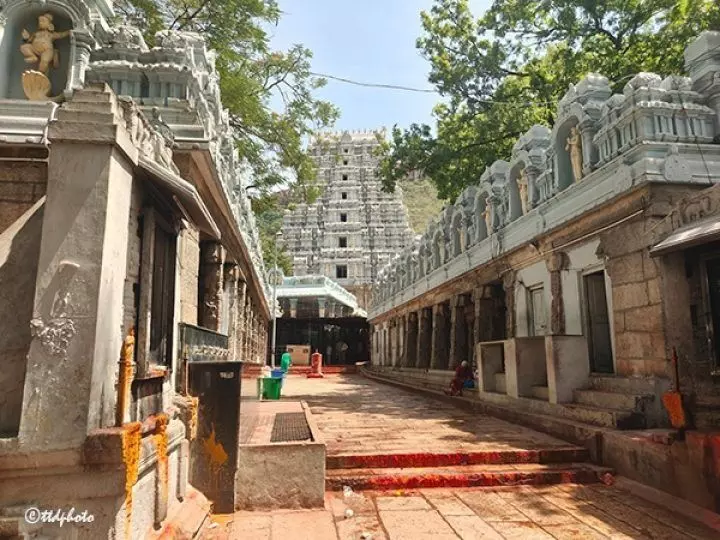 Tirumala: నడక దారిలో ధూమపానం చేసిన వ్యక్తిపై కఠిన చర్యలు Tirumala: నడక దారిలో ధూమపానం చేసిన వ్యక్తిపై కఠిన చర్యలు