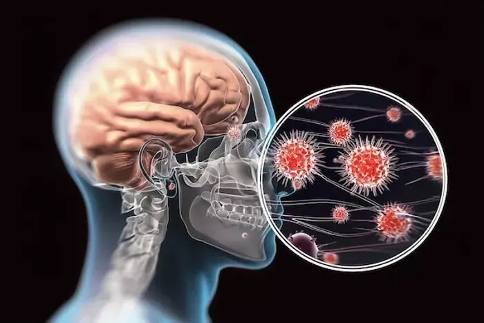Leptospirosis and Encephalitis: మెదడును గుల్ల చేసే ప్రమాదకర ఇన్ఫెక్షన్లు.. లెప్టోస్పైరోసిస్, ఎన్సెఫాలిటిస్ ఎంతటి ప్రమాదకరం? Leptospirosis and Encephalitis: మెదడును గుల్ల చేసే ప్రమాదకర ఇన్ఫెక్షన్లు.. లెప్టోస్పైరోసిస్, ఎన్సెఫాలిటిస్ ఎంతటి ప్రమాదకరం?