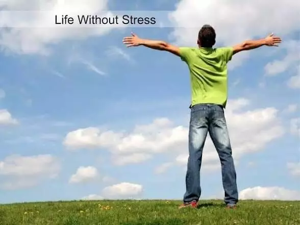 Peaceful, Stress-Free Life: ఒత్తిడి లేని ప్రశాంత జీవితం మీ సొంతం కావాలా? దినచర్యలో ఈ అలవాట్లు తప్పనిసరి.. Peaceful, Stress-Free Life: ఒత్తిడి లేని ప్రశాంత జీవితం మీ సొంతం కావాలా? దినచర్యలో ఈ అలవాట్లు తప్పనిసరి..