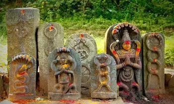 Nag Panchami:  నాగపంచమి: నవ నాగులు ఎవరు? ఎందుకు పూజించాలి?