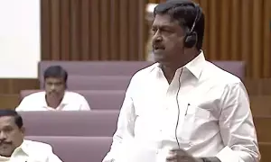 Minister Payyavula: శాసనమండలిలో డీఎస్సీపై వైకాపా అల్లరి.. మంత్రి పయ్యావుల తీవ్ర విమర్శ Minister Payyavula: శాసనమండలిలో డీఎస్సీపై వైకాపా అల్లరి.. మంత్రి పయ్యావుల తీవ్ర విమర్శ