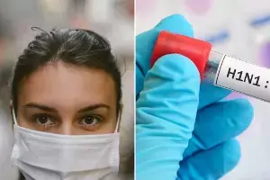 Dengue vs Swine Flu: డెంగ్యూ - స్వైన్ ఫ్లూ: వ్యాప్తి విధానం, లక్షణాలు, చేయించుకోవాల్సిన పరీక్షలివే.. Dengue vs Swine Flu: డెంగ్యూ - స్వైన్ ఫ్లూ: వ్యాప్తి విధానం, లక్షణాలు, చేయించుకోవాల్సిన పరీక్షలివే..