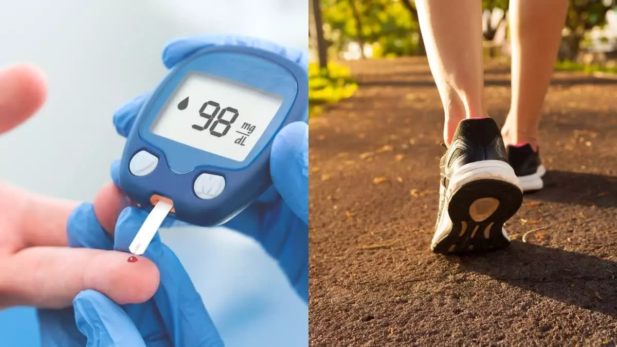 Blood Sugar Isn’t Dropping: రోజూ వాకింగ్ చేస్తున్నా షుగర్ తగ్గట్లేదా? Blood Sugar Isn’t Dropping: రోజూ వాకింగ్ చేస్తున్నా షుగర్ తగ్గట్లేదా?