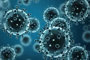 Swine Flu: దేశంలో పెరుగుతున్న స్వైన్ ఫ్లూ..కేంద్ర ఆరోగ్య శాఖ ఉన్నత స్థాయి సమీక్ష