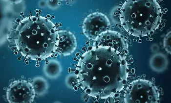 Swine Flu: దేశంలో పెరుగుతున్న స్వైన్ ఫ్లూ..కేంద్ర ఆరోగ్య శాఖ ఉన్నత స్థాయి సమీక్ష