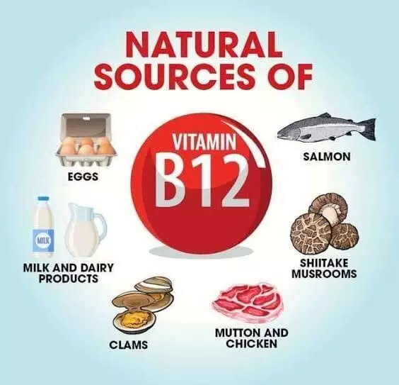 Vitamin B12 Deficiency: విటమిన్ B12 లోపం: కనిపించే 5 ప్రధాన హెచ్చరిక సంకేతాలు.. వీటిని అస్సలు విస్మరించవద్దు.. Vitamin B12 Deficiency: విటమిన్ B12 లోపం: కనిపించే 5 ప్రధాన హెచ్చరిక సంకేతాలు.. వీటిని అస్సలు విస్మరించవద్దు..