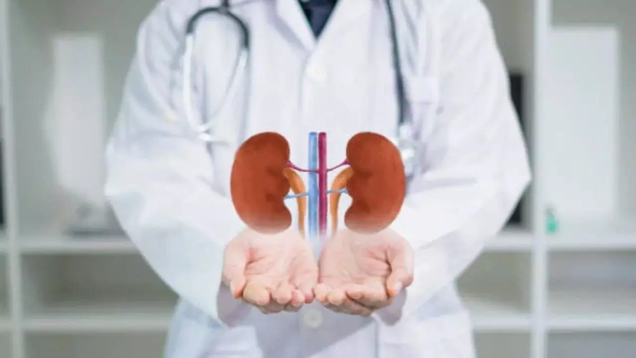 Kidney Failure at a Young Age: చిన్న వయసులోనే కిడ్నీలు ఫెయిల్ అవుతున్నాయా? ఇవే ఆ 4 సైలెంట్ కిల్లర్స్ Kidney Failure at a Young Age: చిన్న వయసులోనే కిడ్నీలు ఫెయిల్ అవుతున్నాయా? ఇవే ఆ 4 సైలెంట్ కిల్లర్స్