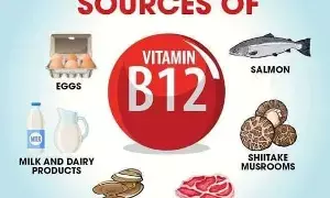 Vitamin B12 Deficiency: విటమిన్ B12 లోపం: కనిపించే 5 ప్రధాన హెచ్చరిక సంకేతాలు.. వీటిని అస్సలు విస్మరించవద్దు.. Vitamin B12 Deficiency: విటమిన్ B12 లోపం: కనిపించే 5 ప్రధాన హెచ్చరిక సంకేతాలు.. వీటిని అస్సలు విస్మరించవద్దు..