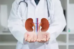 Kidney Failure at a Young Age: చిన్న వయసులోనే కిడ్నీలు ఫెయిల్ అవుతున్నాయా? ఇవే ఆ 4 సైలెంట్ కిల్లర్స్ Kidney Failure at a Young Age: చిన్న వయసులోనే కిడ్నీలు ఫెయిల్ అవుతున్నాయా? ఇవే ఆ 4 సైలెంట్ కిల్లర్స్