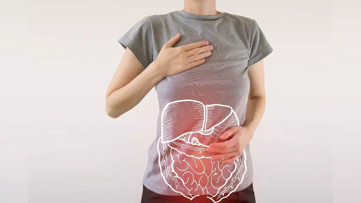Digestion and Gut Health: మీ జీర్ణక్రియను, పేగుల ఆరోగ్యాన్ని దెబ్బతీసే రోజువారీ అలవాట్లు ఇవే.. Digestion and Gut Health: మీ జీర్ణక్రియను, పేగుల ఆరోగ్యాన్ని దెబ్బతీసే రోజువారీ అలవాట్లు ఇవే..