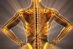 Stronger Bones: ఎముకలు ఉక్కులా మారాలా? పాలతో పనేలేకుండా శరీరంలో కాల్షియం పెంచే అద్భుత ఆహారాలు ఇవే.. Stronger Bones: ఎముకలు ఉక్కులా మారాలా? పాలతో పనేలేకుండా శరీరంలో కాల్షియం పెంచే అద్భుత ఆహారాలు ఇవే..