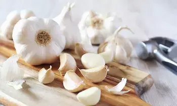 Garlic: రోజువారీ ఆహారంలో వెల్లుల్లిని తప్పక ఎందుకు చేర్చుకోవాలి?