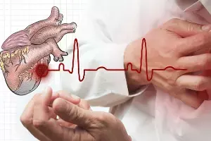 Mistaking a Heart Attack for Gas: గ్యాస్ అనుకుని గుండెపోటును విస్మరిస్తున్నారా? ఈ ముందస్తు హెచ్చరికలతో ప్రాణాలు కాపాడుకోండి Mistaking a Heart Attack for Gas: గ్యాస్ అనుకుని గుండెపోటును విస్మరిస్తున్నారా? ఈ ముందస్తు హెచ్చరికలతో ప్రాణాలు కాపాడుకోండి