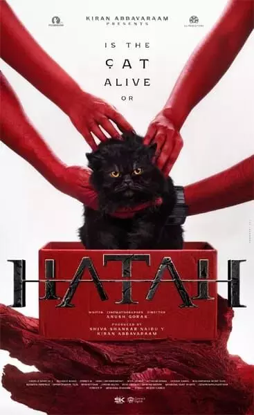 ‘Hatah’: ‘హతః’ అంటూ కిరణ్ అబ్బవరం కొత్త ప్రయోగం.. అసలు ఆ పిల్లి కథేంటి? ‘Hatah’: ‘హతః’ అంటూ కిరణ్ అబ్బవరం కొత్త ప్రయోగం.. అసలు ఆ పిల్లి కథేంటి?