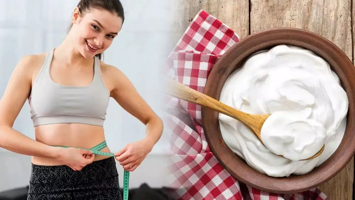 Curd: రోజుకో కప్పు పెరుగుతో బరువుకి చెక్. ! Curd: రోజుకో కప్పు పెరుగుతో బరువుకి చెక్. !