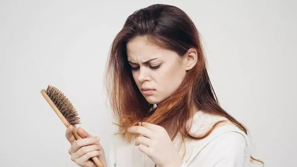 Severe Stress and Anxiety Causing Hair Loss: తీవ్రమైన ఒత్తిడి, ఆందోళనతో జుట్టు రాలుతోందా? నిపుణులు చెబుతున్న వాస్తవాలివే Severe Stress and Anxiety Causing Hair Loss: తీవ్రమైన ఒత్తిడి, ఆందోళనతో జుట్టు రాలుతోందా? నిపుణులు చెబుతున్న వాస్తవాలివే