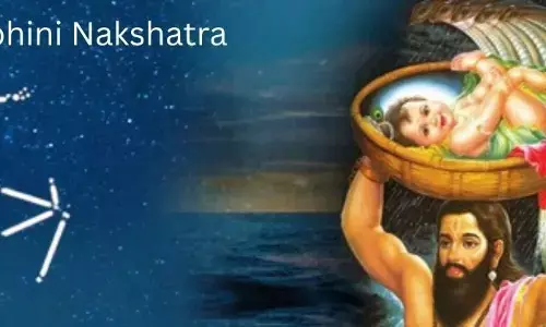Born Under Rohini Nakshatra: రోహిణి నక్షత్రంలో పుట్టినవారి లక్షణాలు ఇవే.. శ్రీకృష్ణుడి అనుగ్రహంతో వీరిలో ఉండే విశిష్ట గుణాలు.. Born Under Rohini Nakshatra: రోహిణి నక్షత్రంలో పుట్టినవారి లక్షణాలు ఇవే.. శ్రీకృష్ణుడి అనుగ్రహంతో వీరిలో ఉండే విశిష్ట గుణాలు..