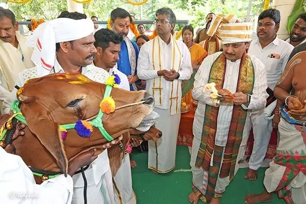 Gokulashtami Go Puja: టీటీడీ గోశాలలో వైభవంగా గోకులాష్టమి గోపూజ Gokulashtami Go Puja: టీటీడీ గోశాలలో వైభవంగా గోకులాష్టమి గోపూజ